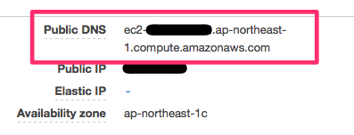 ec2_public_dns